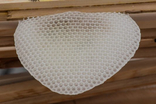 Why You Should Test Your Mattress Before Buying