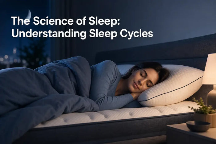 The Science of Sleep Understanding Sleep Cycles