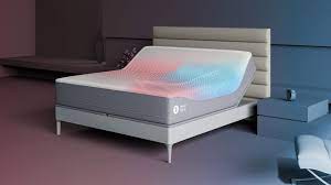 Sleep Number Bed Reviews