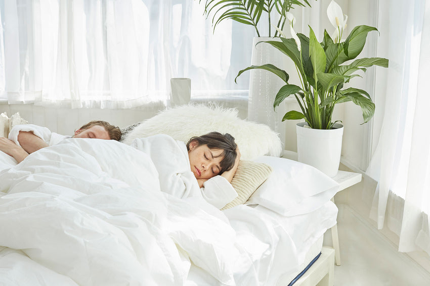 Discover the Best Mattress Store for Naturepedic: Your Guide to Organic Mattresses Near New Jersey