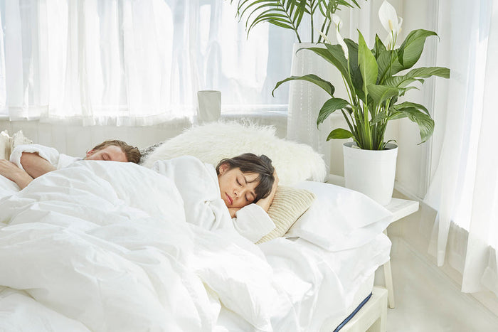 Discover the Best Mattress Store for Naturepedic: Your Guide to Organic Mattresses Near New Jersey