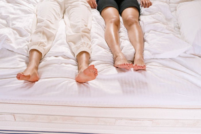 Two friends relaxing indoors, lying on a comfortable bed, enjoying leisure time together.