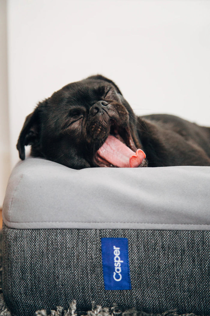 Unlock the Secrets of Mattress Materials