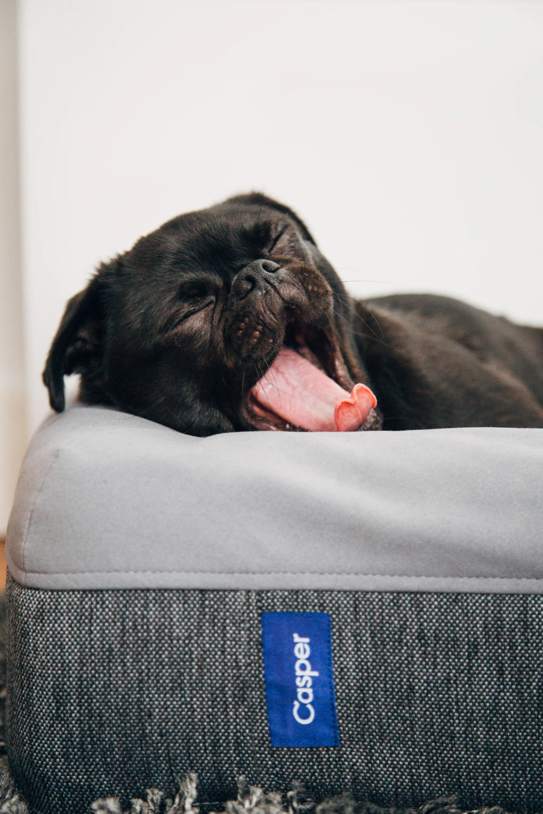 Eco-Friendly Mattresses Sustainable Choices for Brooklyn Shoppers