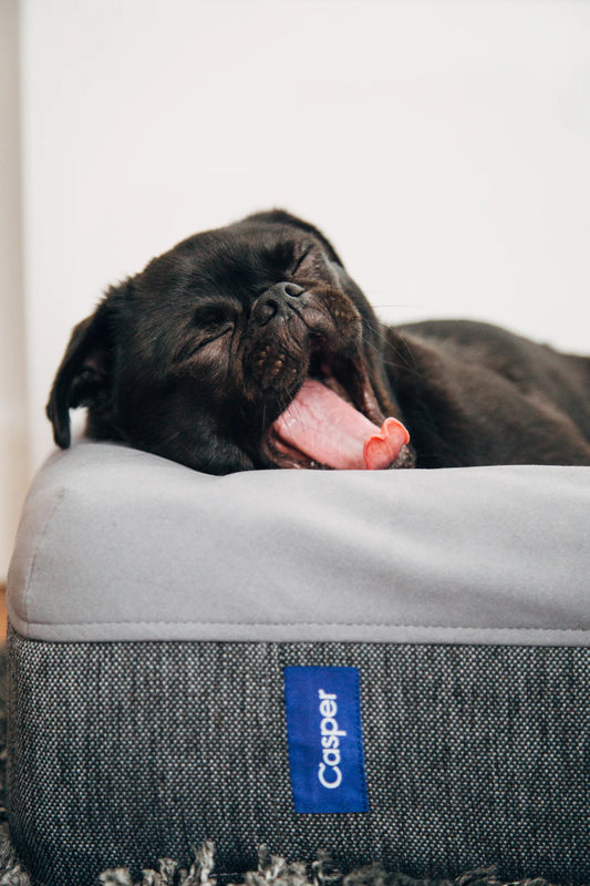 Eco-Friendly Mattresses Sustainable Choices for Brooklyn Shoppers
