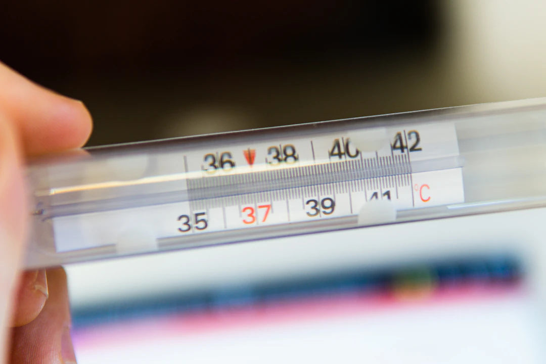 The Role of Temperature in Sleep Quality