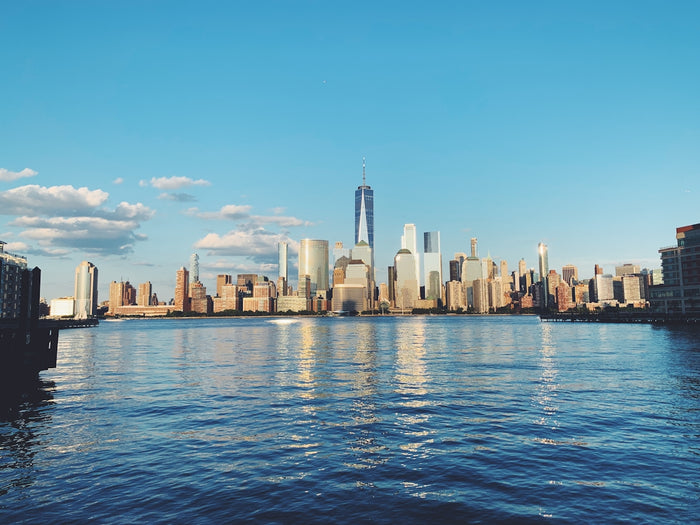 city skyline across body of water during daytime