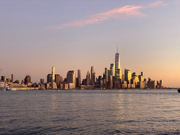 city skyline during day time