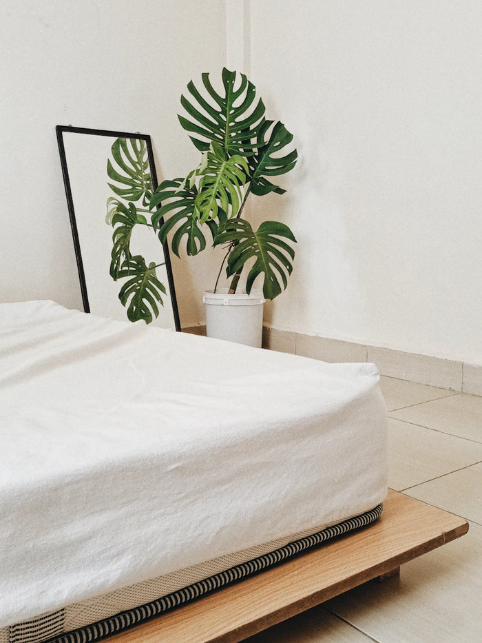 Eco-Friendly Mattresses What to Know for Healthy Sleep