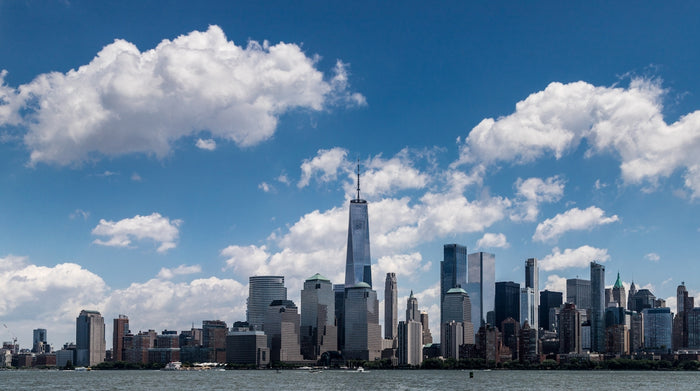 a view of a city skyline from the water