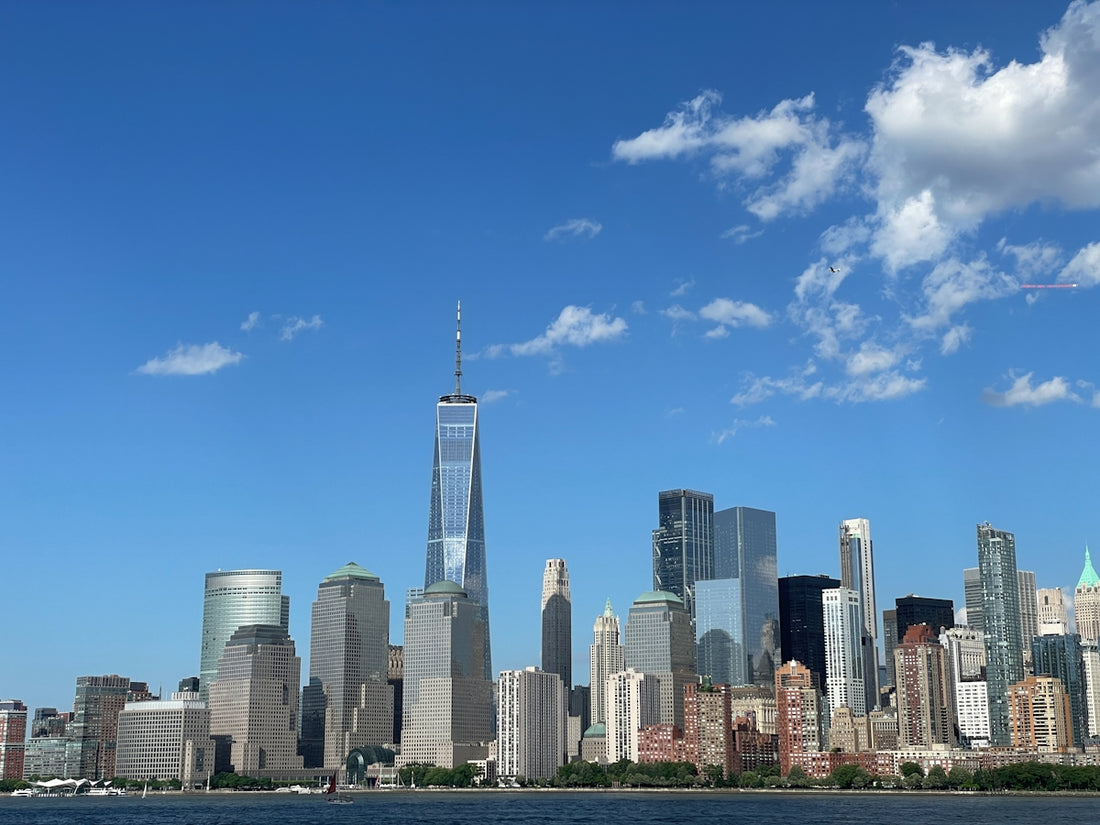 a view of a city skyline from the water