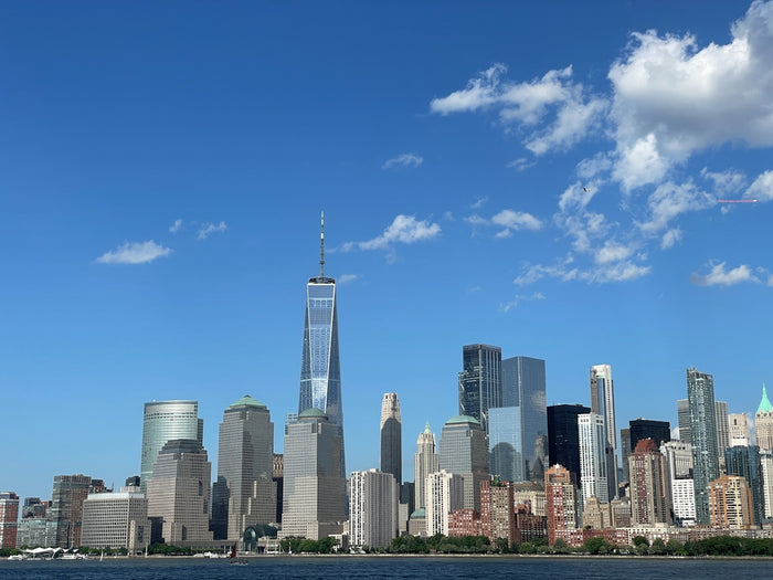 a view of a city skyline from the water