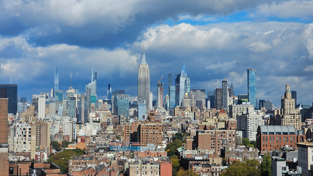 a view of a large city with tall buildings