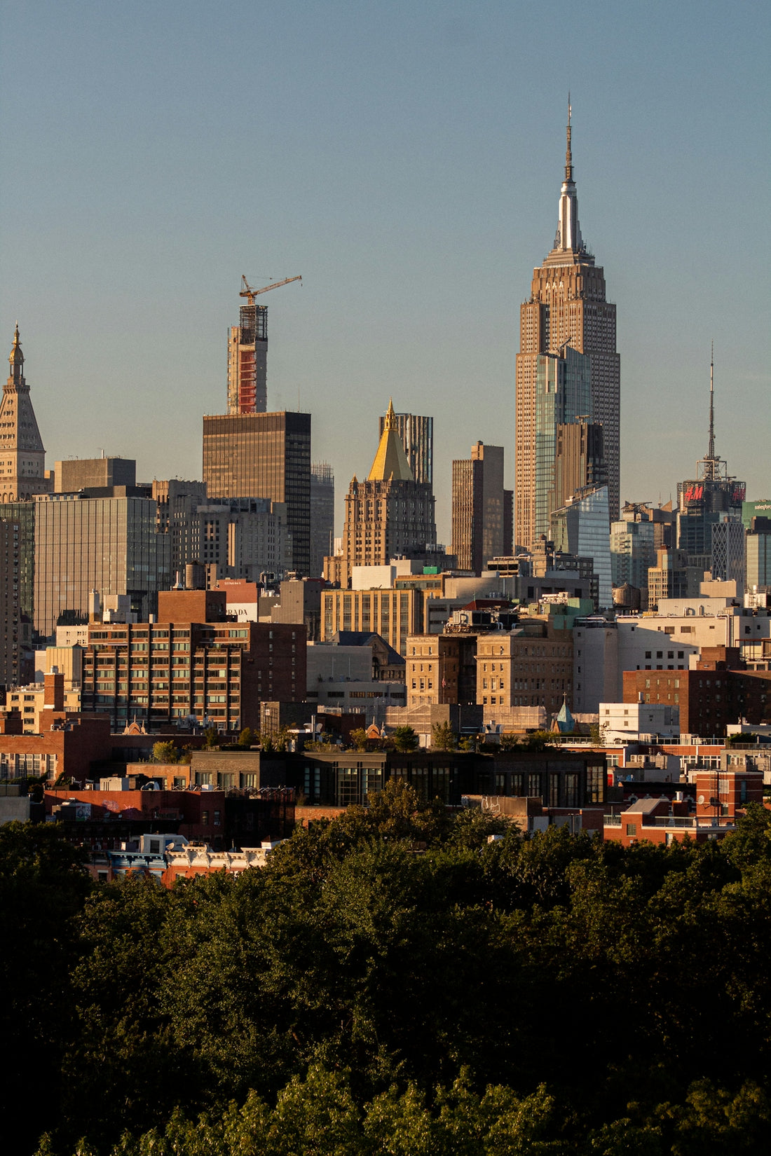 A view of a city with tall buildings