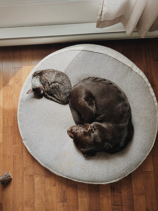 Choosing the Right Mattress for Your Sleep Position