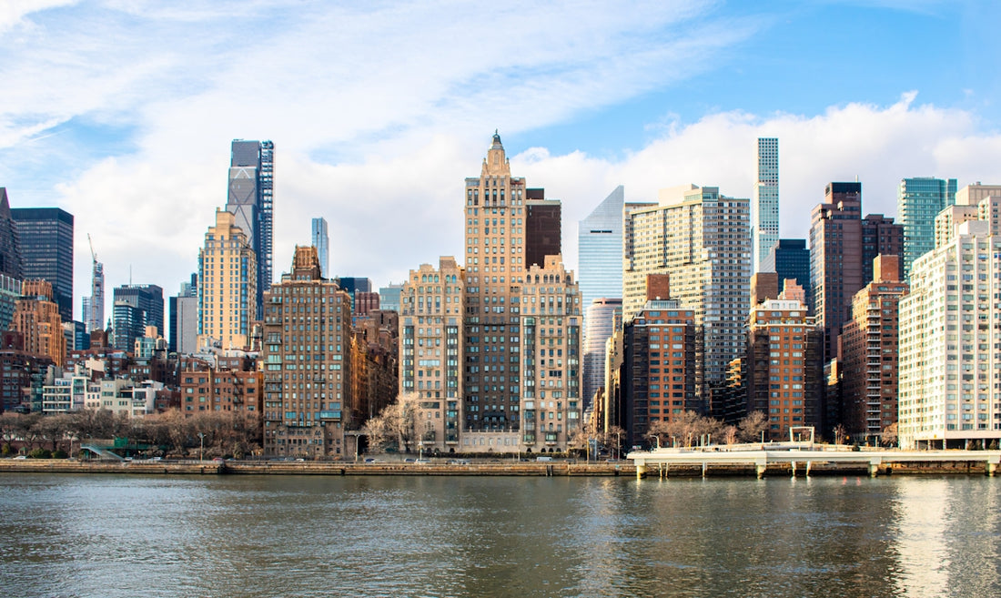 Here is a possible caption for the image: **city skyline with buildings and water.**