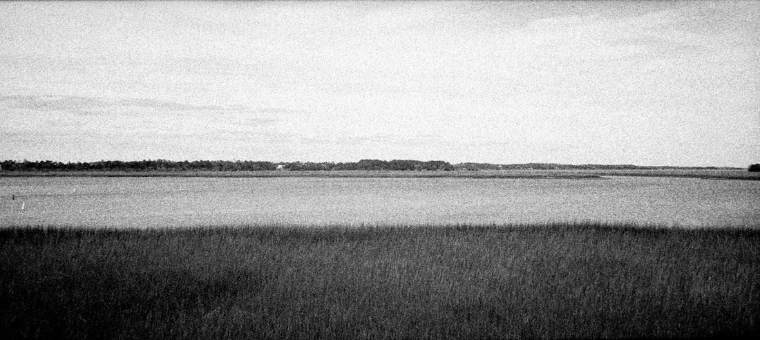 Grassy field with a distant tree line and sky