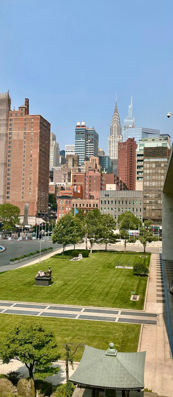 New york city skyline overlooks a serene green park