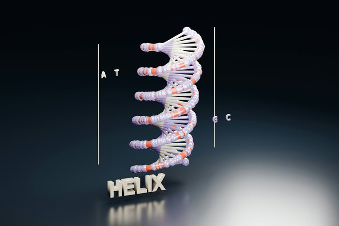 A double helix structure with letters A, T, G, and C on a dark background