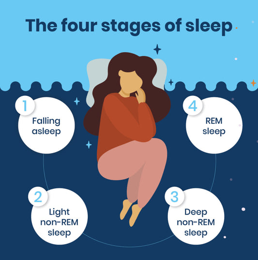 What is REM Sleep?