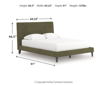 Chirason - Upholstered Bed With Roll Slats - The Sleep Loft - Online Mattress Showroom NYC