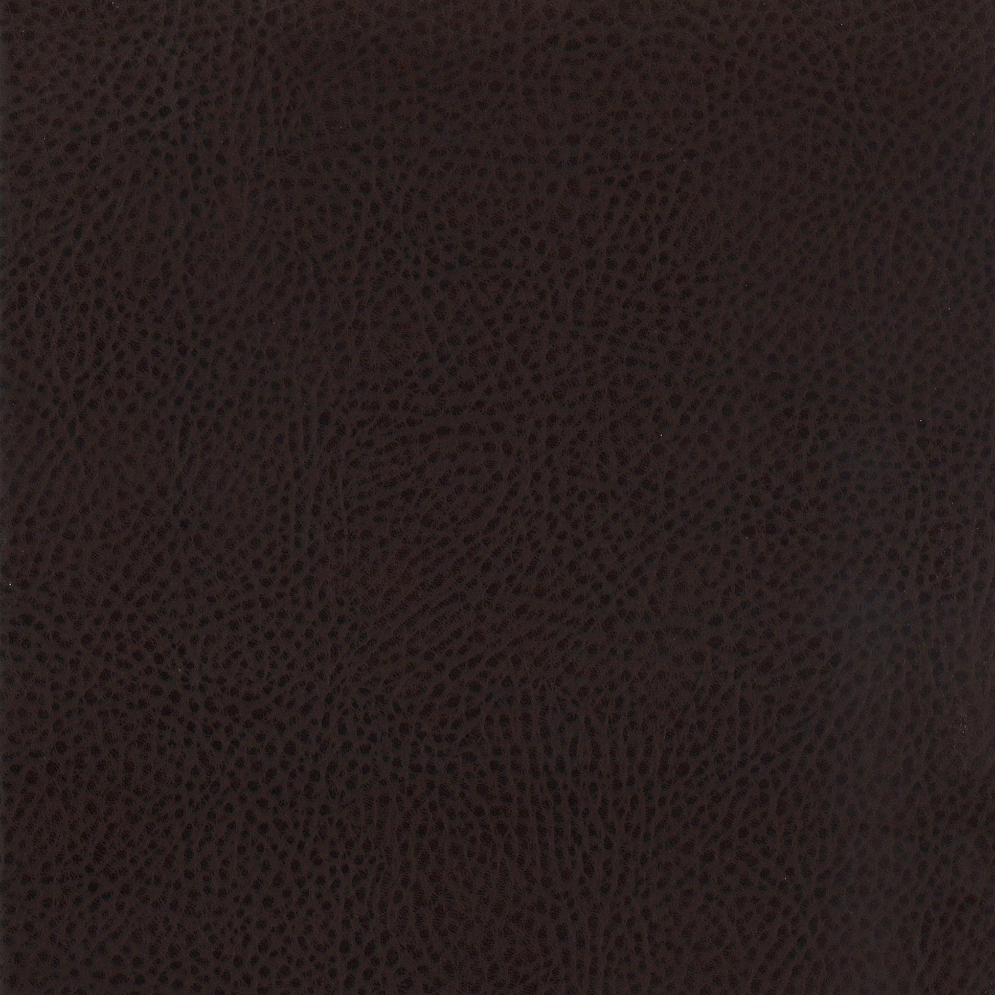 Dewey Upholstered Counter Chair Walnut (Set of 2)