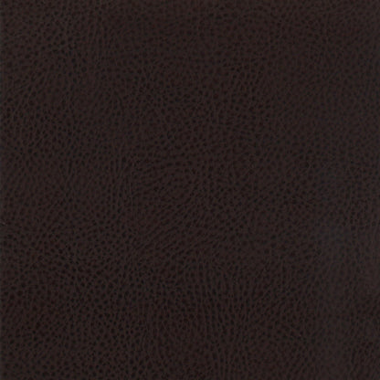 Dewey Upholstered Counter Chair Walnut (Set of 2)
