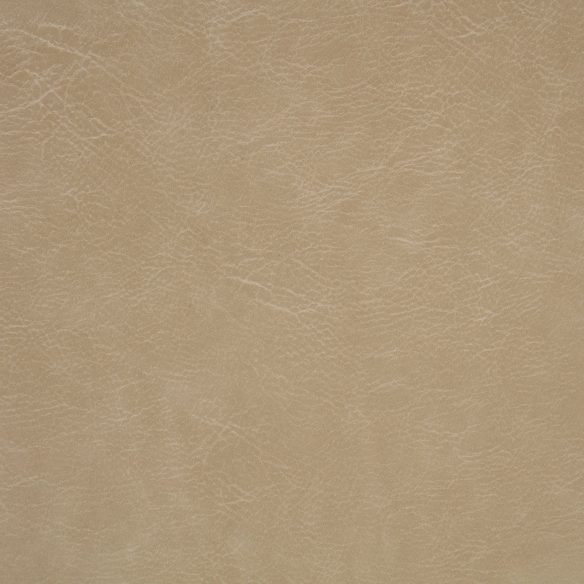 Ortega Upholstered Dining Side Chair Tan (Set of 2)
