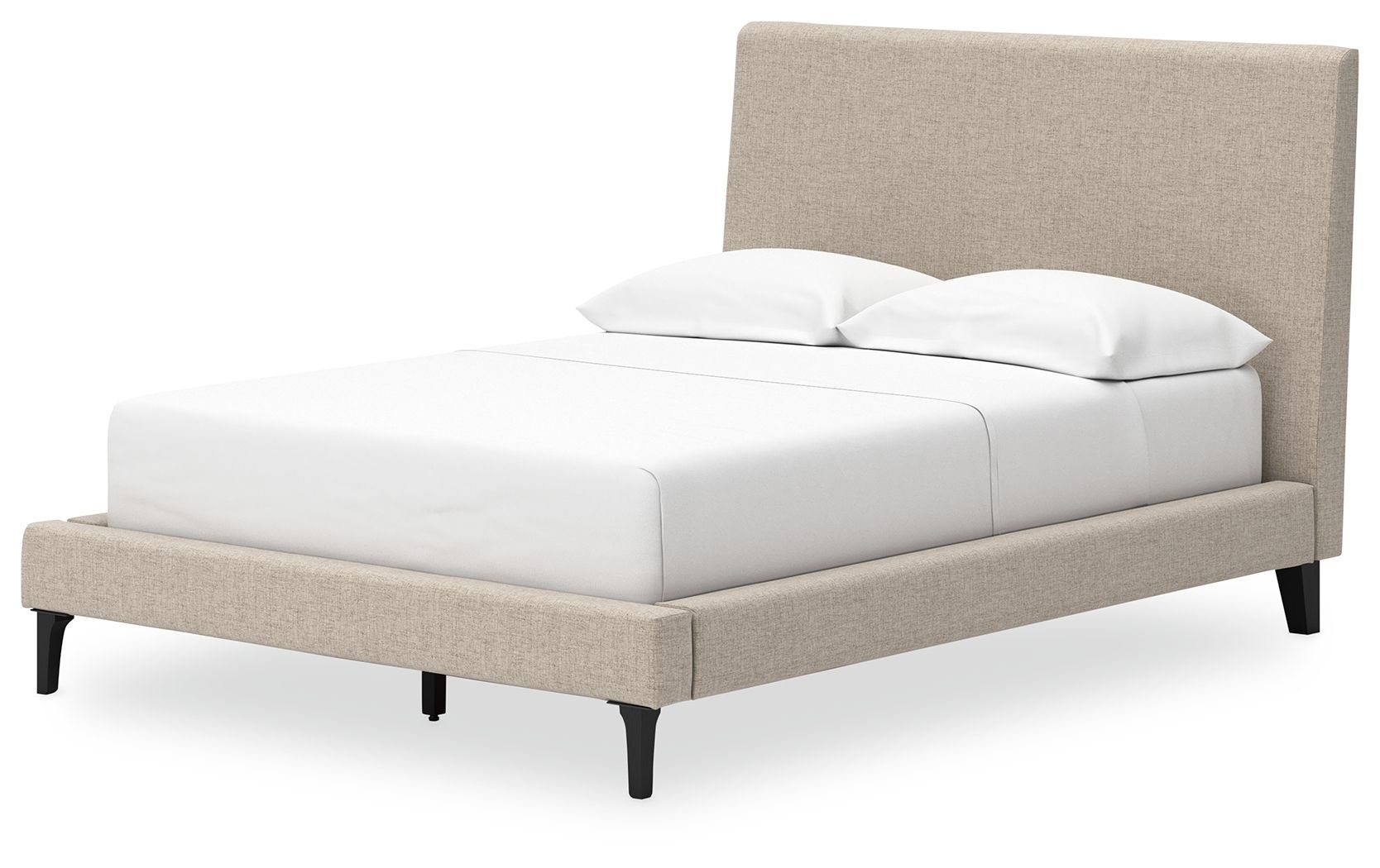 Cielden - Upholstered Bed With Roll Slats - The Sleep Loft - Online Mattress Showroom NYC