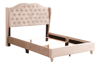Upholstered Velvet Bed Transitional - The Sleep Loft - Online Mattress Showroom NYC