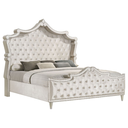 Antonella 5-piece Queen Bedroom Set Ivory 