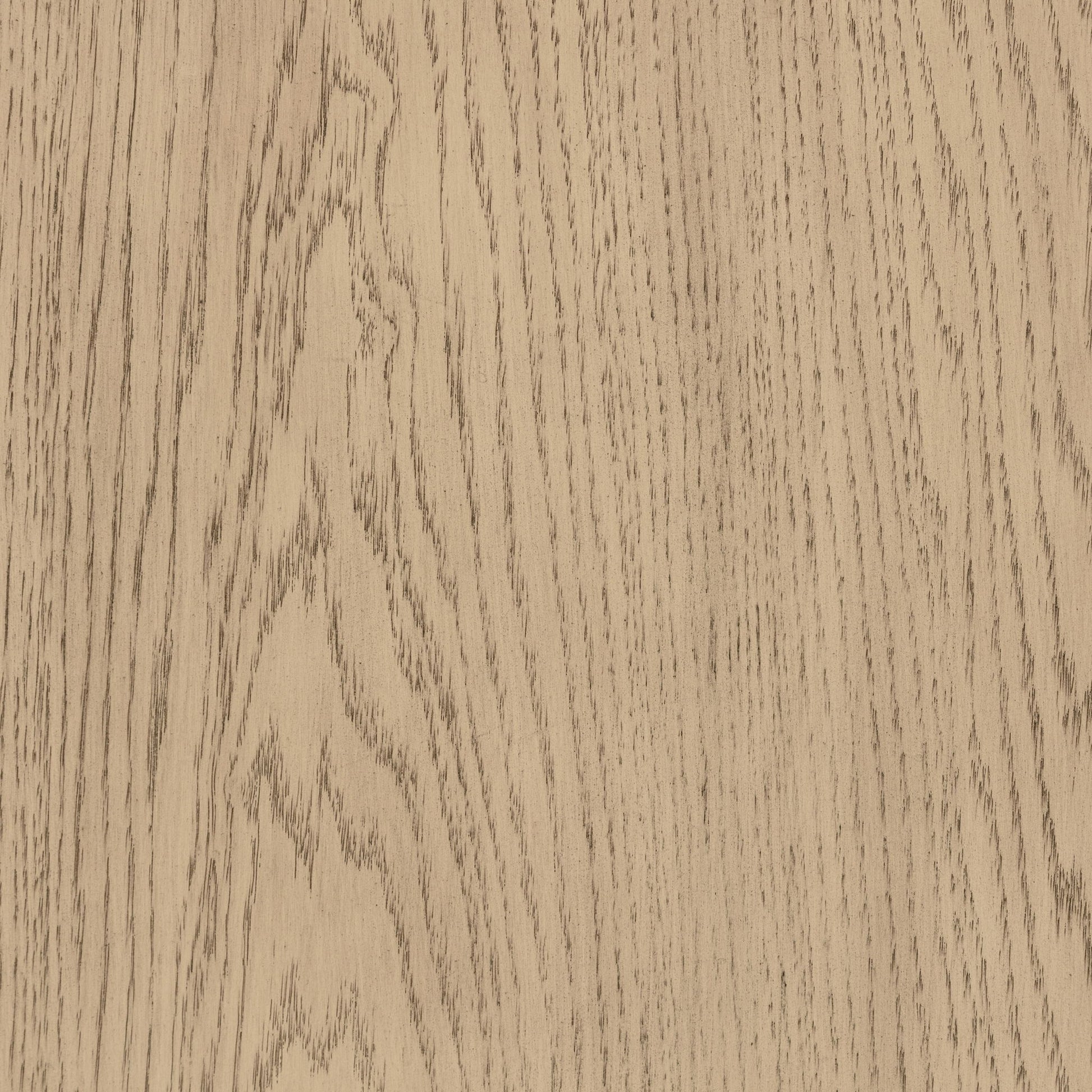 Kimpton - Wingback Bed - The Sleep Loft - Online Mattress Showroom NYC