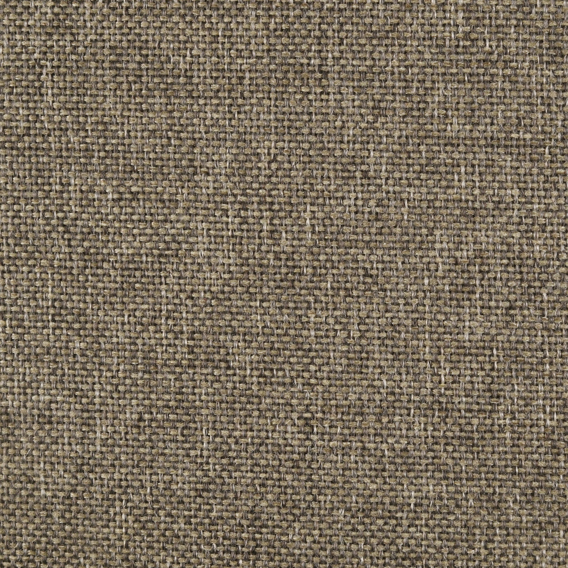 Clement - Upholstered Eastern King Bed - Dark Brown - The Sleep Loft - Online Mattress Showroom NYC