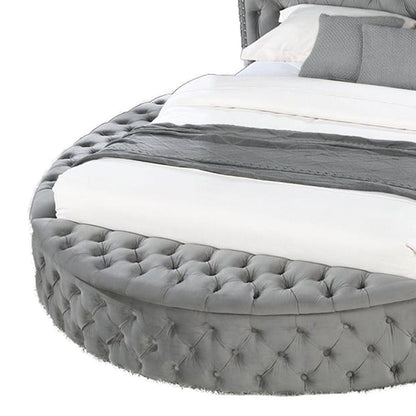 Hazel - Storage Bed