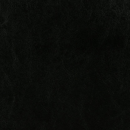 Dorian Faux Leather Upholstered Twin Panel Bed Black
