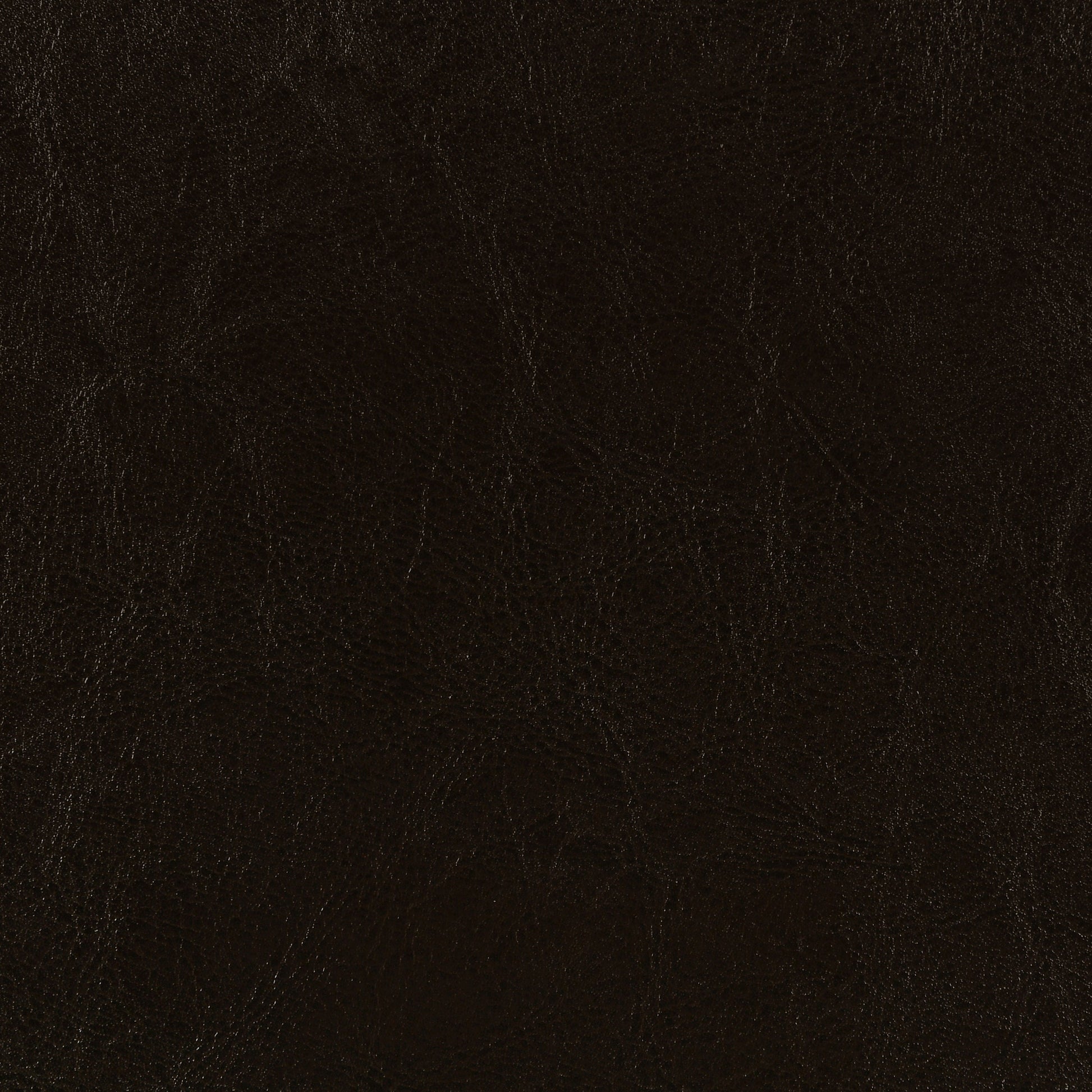 Dorian Faux Leather Upholstered Eastern King Panel Bed Brown
