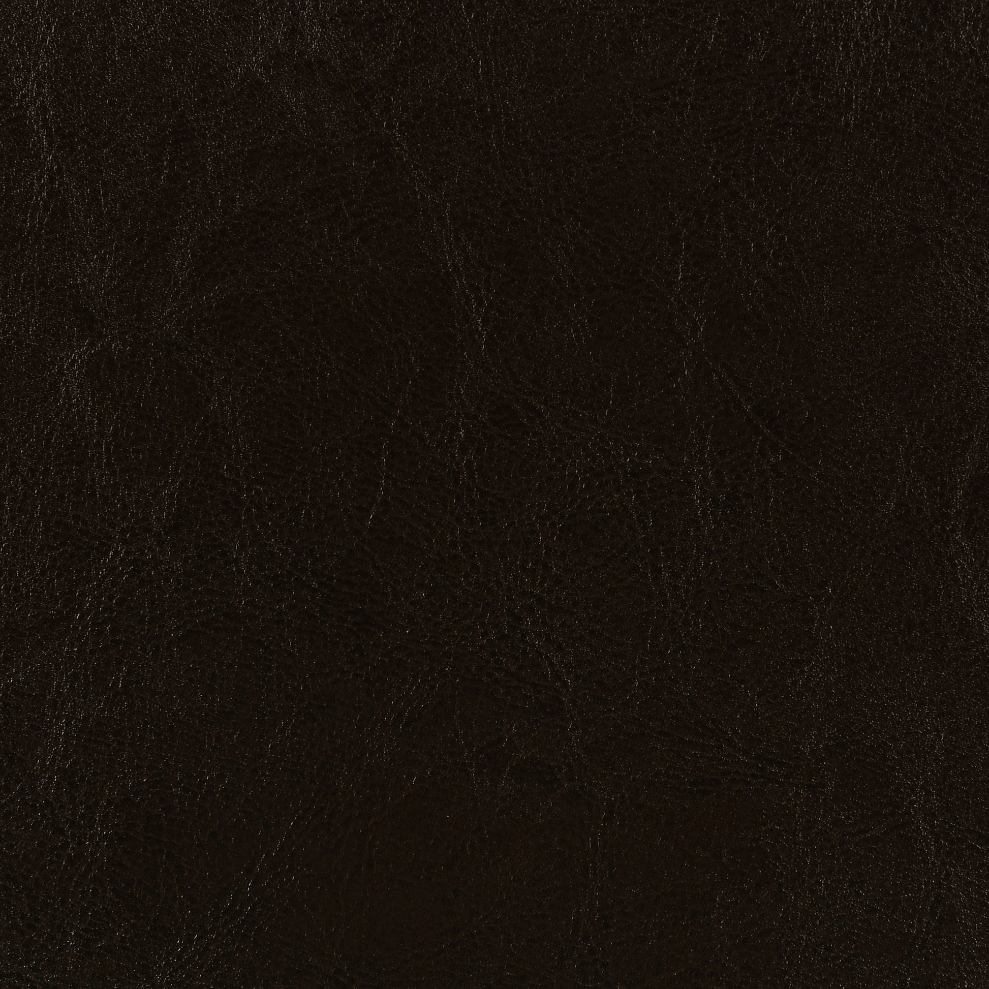Dorian Faux Leather Upholstered Queen Panel Bed Brown