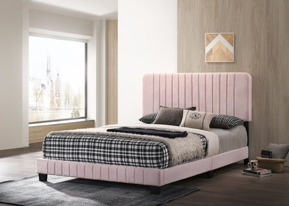 Channel Tufted Bed - The Sleep Loft - Online Mattress Showroom NYC