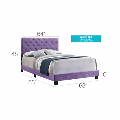 Luxurious Upholstered Bed - The Sleep Loft - Online Mattress Showroom NYC