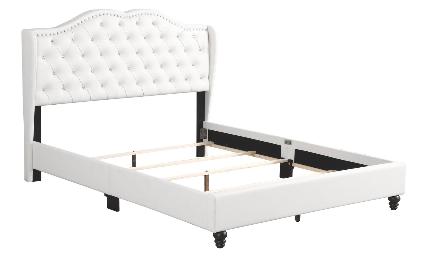 Upholstered Velvet Bed Transitional - The Sleep Loft - Online Mattress Showroom NYC