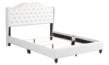 Upholstered Velvet Bed Transitional - The Sleep Loft - Online Mattress Showroom NYC