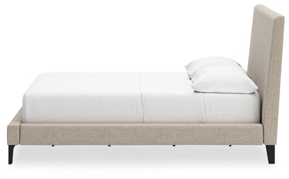 Cielden - Upholstered Bed With Roll Slats - The Sleep Loft - Online Mattress Showroom NYC
