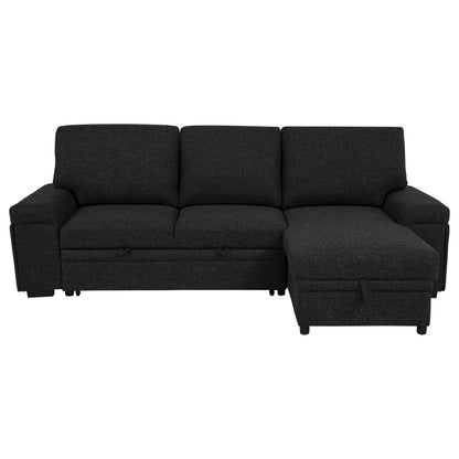 Demko Sleeper Sectional Sofa with Speaker and Storage Chaise Black