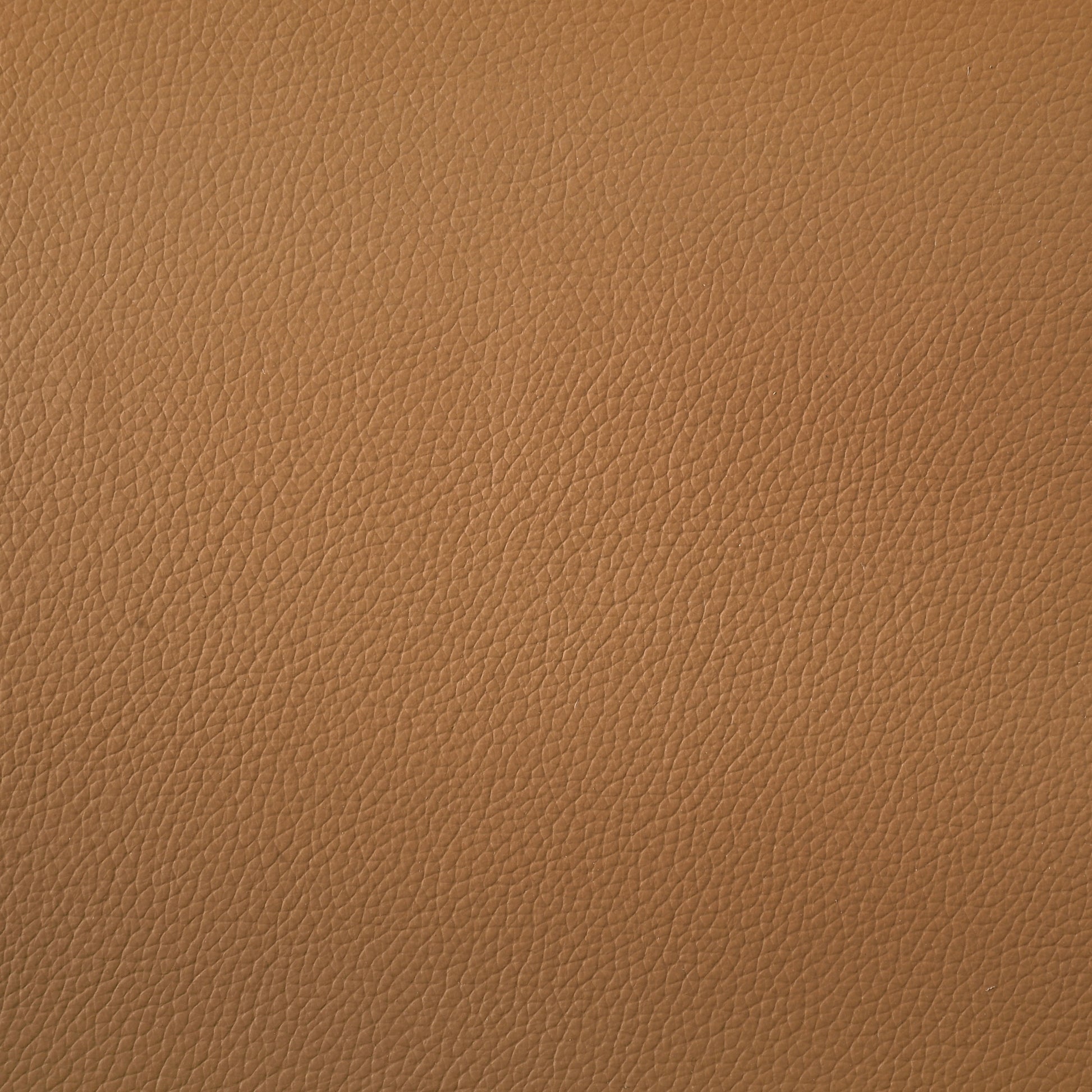 Buxton Top Grain Leather Upholstered Loveseat Orange