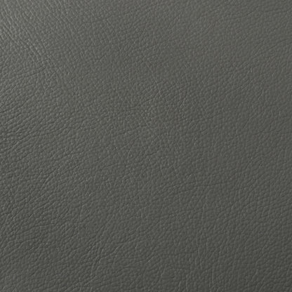 Buxton Top Grain Leather Upholstered Loveseat Graphite