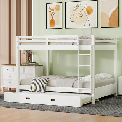 Sturdy Bunk Bed With Ladder - The Sleep Loft - Online Mattress Showroom NYC