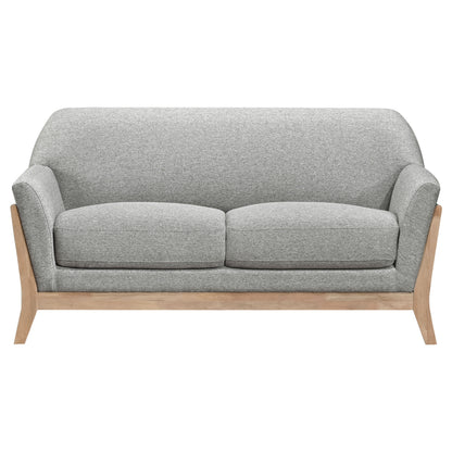 Vaughn 2-piece Fabric Upholstered Flared Arm Sofa Set Grey