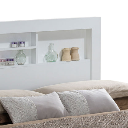 Bed With Transitional Design Stylish - The Sleep Loft - Online Mattress Showroom NYC