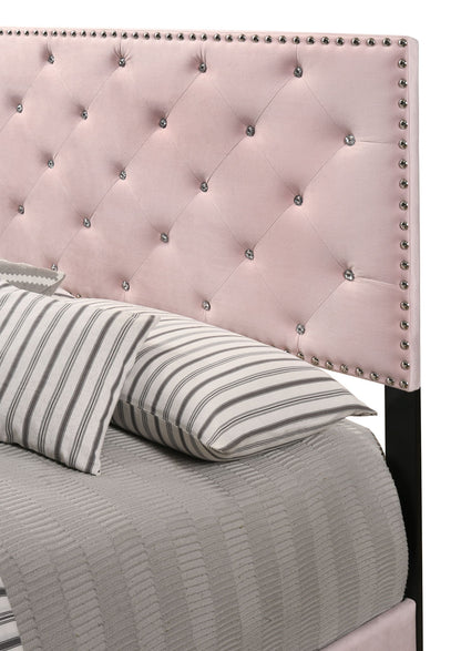 Luxurious Upholstered Bed - The Sleep Loft - Online Mattress Showroom NYC