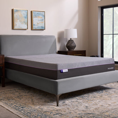 Polaris ActivAir - Hybrid Mattress - The Sleep Loft - Online Mattress Showroom NYC